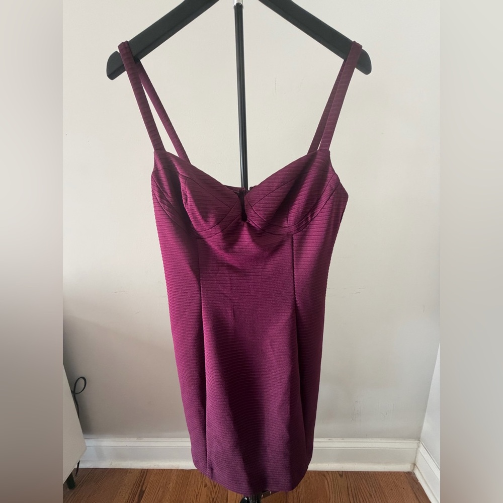 BCBG Plum Scoop Bust Slip Dress